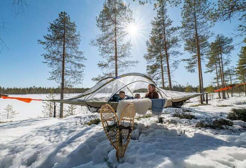 Standard Tent, Metsa Kolo