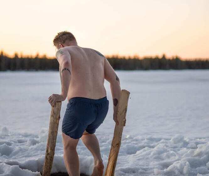 Standard Tent, Metsa Kolo