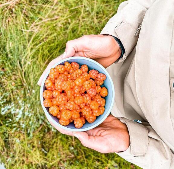 빌라 침실 1개, Metsa Kolo