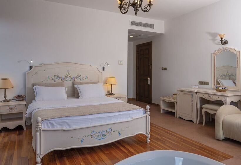 豪华单人间, Assos Nazlihan Hotel   Special Class