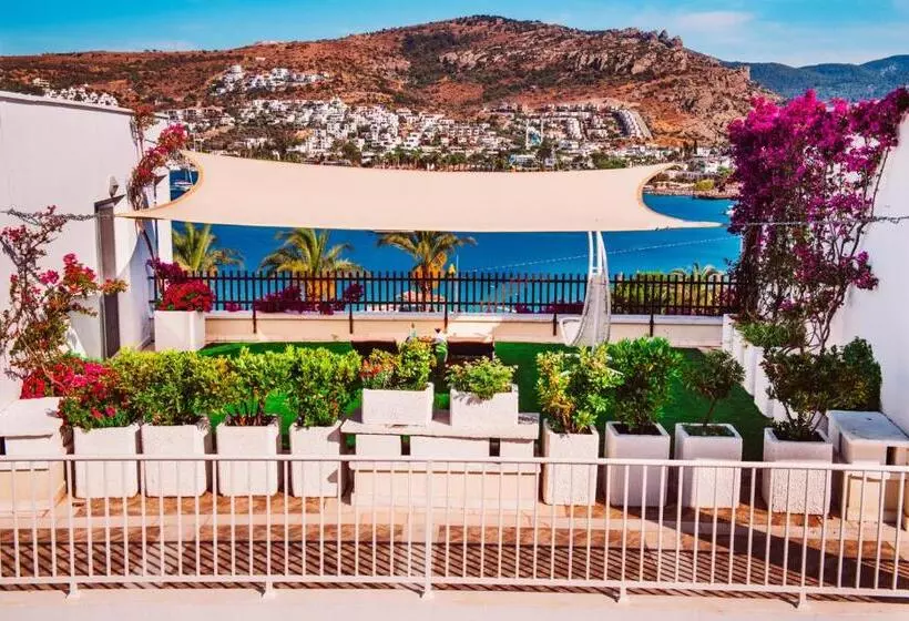 デラックススイート, Baia Bodrum