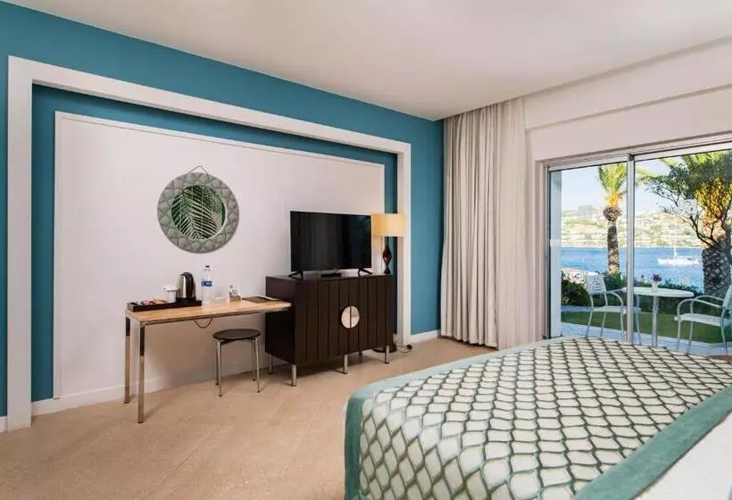 テラス付スーペリアルーム, Baia Bodrum