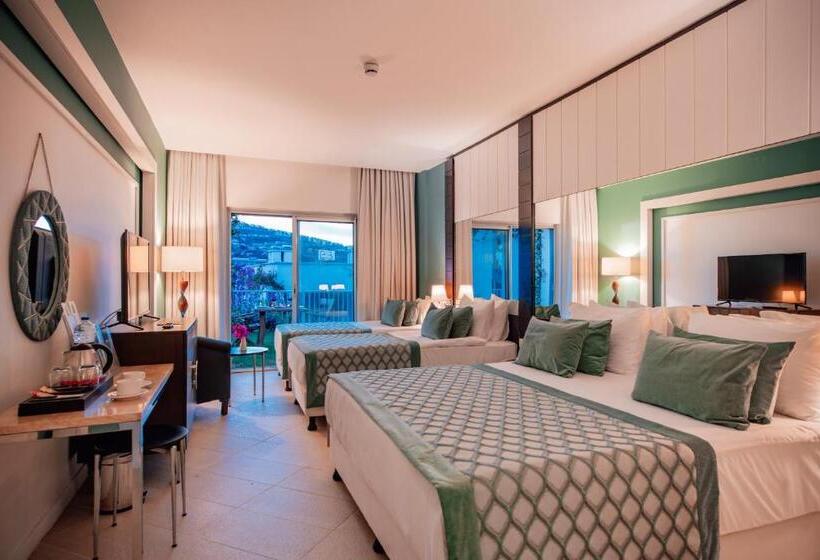 اتاق لوکس چهار تخته, Baia Bodrum