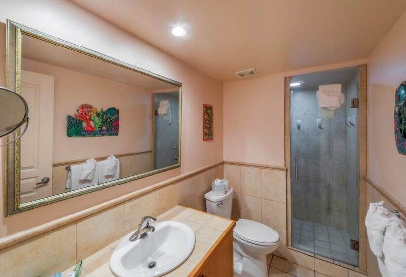 آپارتمان 1 خوابه, Coral Gardens On Grace Bay