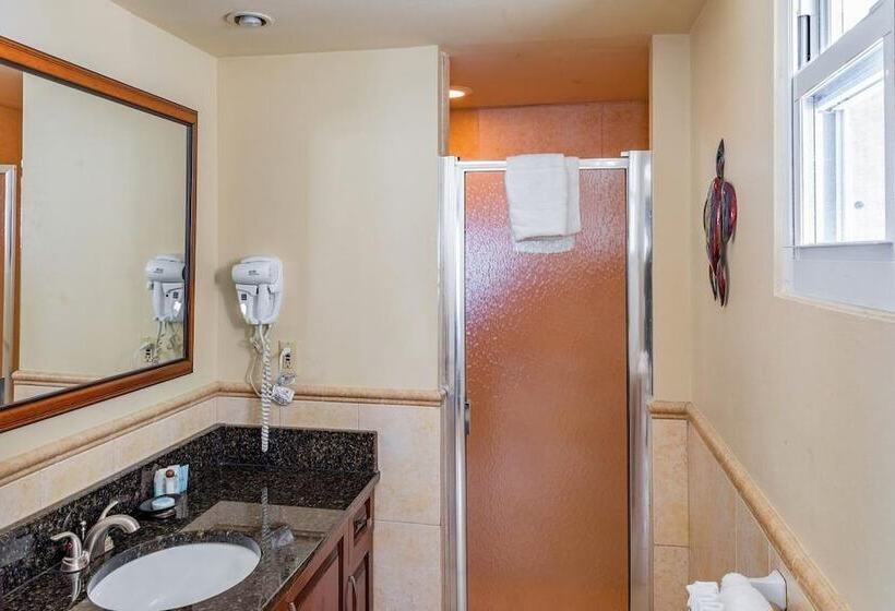 آپارتمان 1 خوابه با چشمانداز دریا, Coral Gardens On Grace Bay