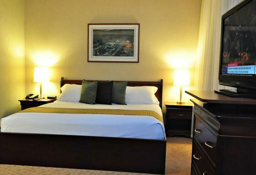 اتاق استاندارد, Eurobuilding Express Maiquetía