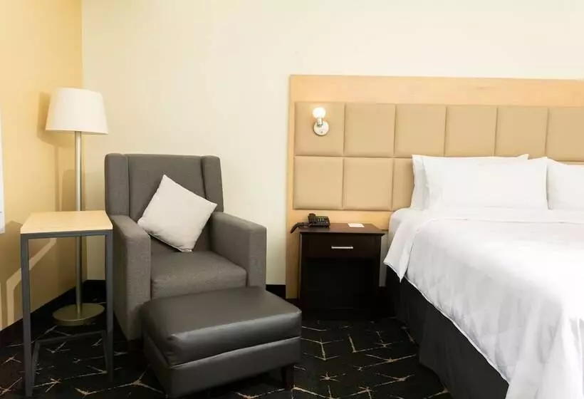 スタンダードルーム, Holiday Inn San Salvador, An Ihg