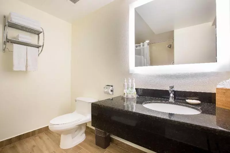 キングサイズベッドのスタンダードルーム, Holiday Inn San Salvador, An Ihg