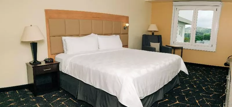 キングサイズベッドのスタンダードルーム, Holiday Inn San Salvador, An Ihg