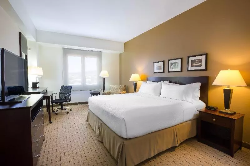 キングサイズベッドのスタンダードルーム, Holiday Inn San Salvador, An Ihg