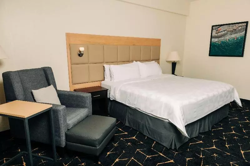キングサイズベッドのスタンダードルーム, Holiday Inn San Salvador, An Ihg