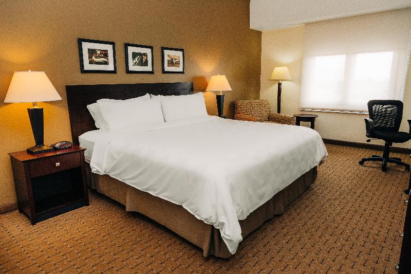 Стандартный Номер Кровать Кинг, Holiday Inn San Salvador, An Ihg