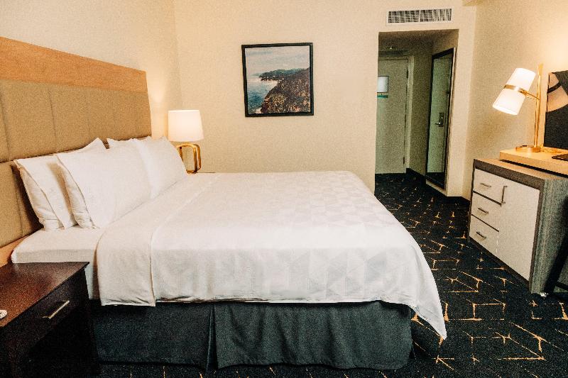 스탠다드 룸 킹사이즈 침대, Holiday Inn San Salvador, An Ihg