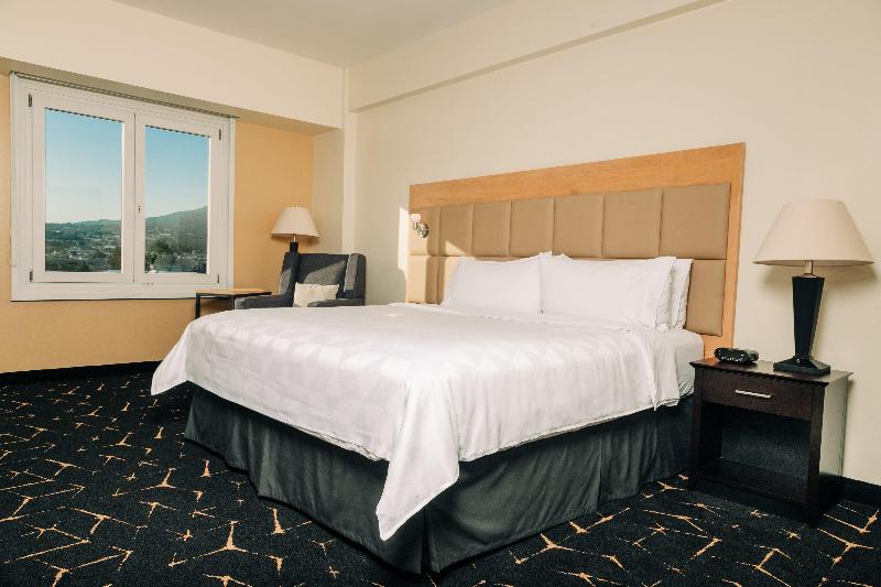 Стандартный Номер Кровать Кинг, Holiday Inn San Salvador, An Ihg