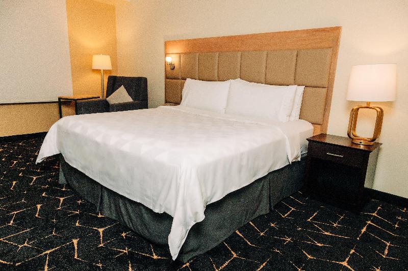 带大床的标准间, Holiday Inn San Salvador, An Ihg