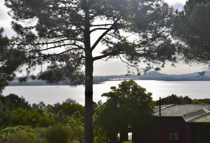 اتاق سوپریور با تخت بزرگ, Las Cumbres