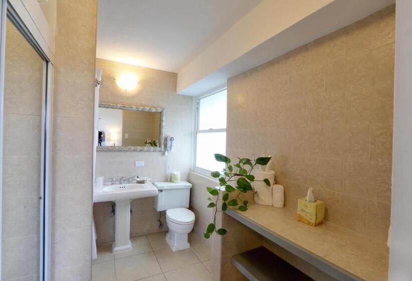 اتاق سوپریور با تخت بزرگ, Miramar