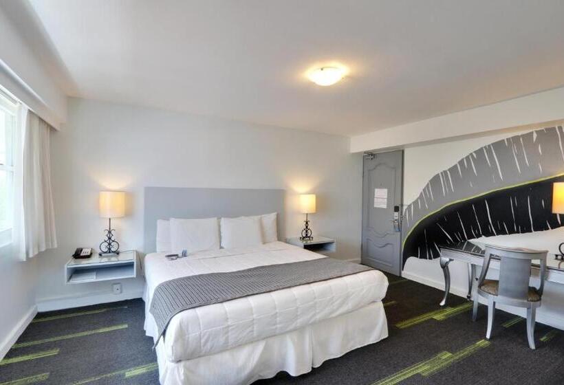 اتاق سوپریور با تخت بزرگ, Miramar