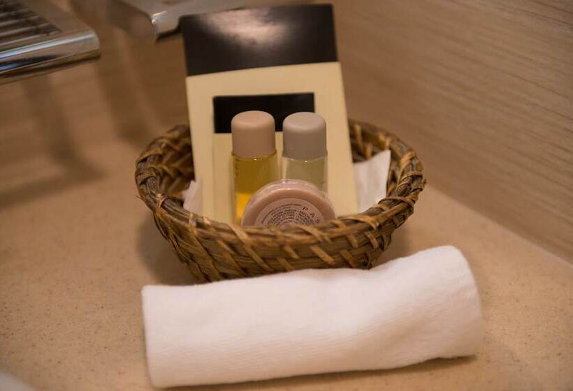 اتاق کلاسیک, Premier Hotel Dnister