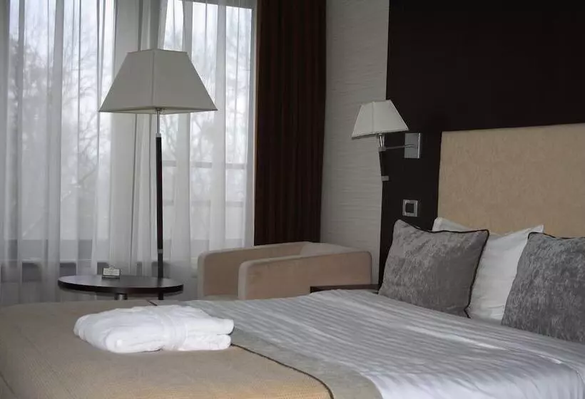 اتاق کلاسیک, Premier Hotel Dnister