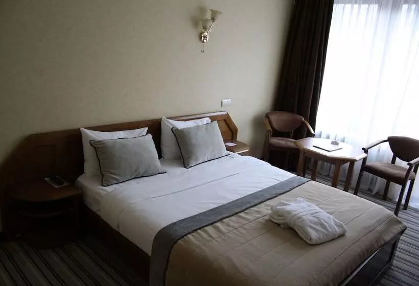اتاق کلاسیک, Premier Hotel Dnister