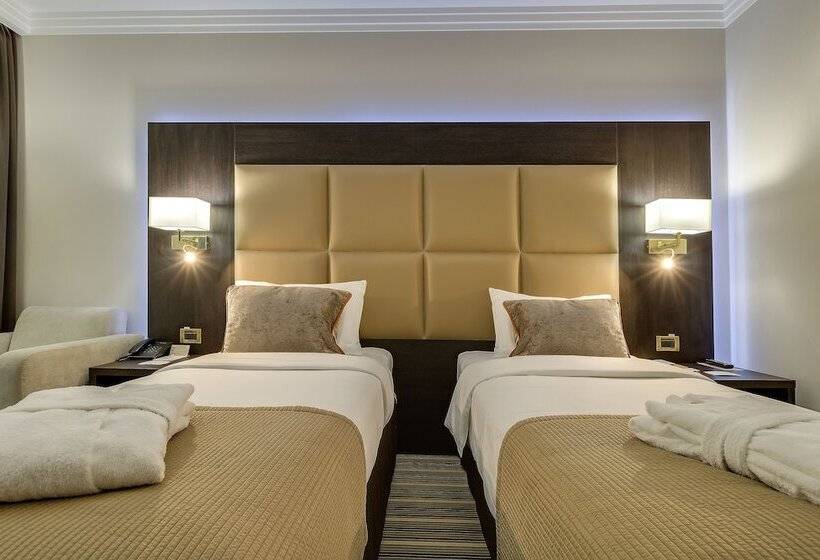 اتاق کلاسیک, Premier Hotel Dnister