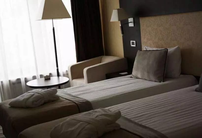 اتاق کلاسیک, Premier Hotel Dnister