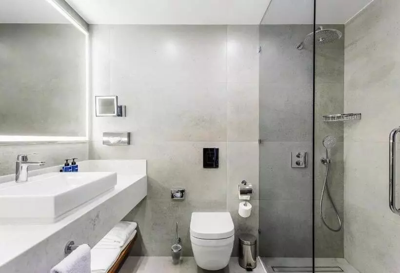 Bisneshuone, Radisson Blu Hotel, Tashkent