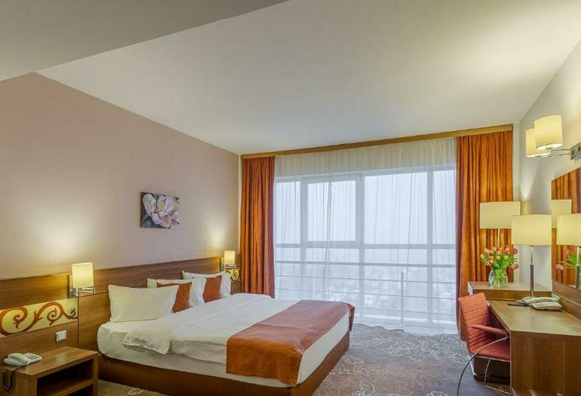 이그제큐티브 룸, Rin Airport