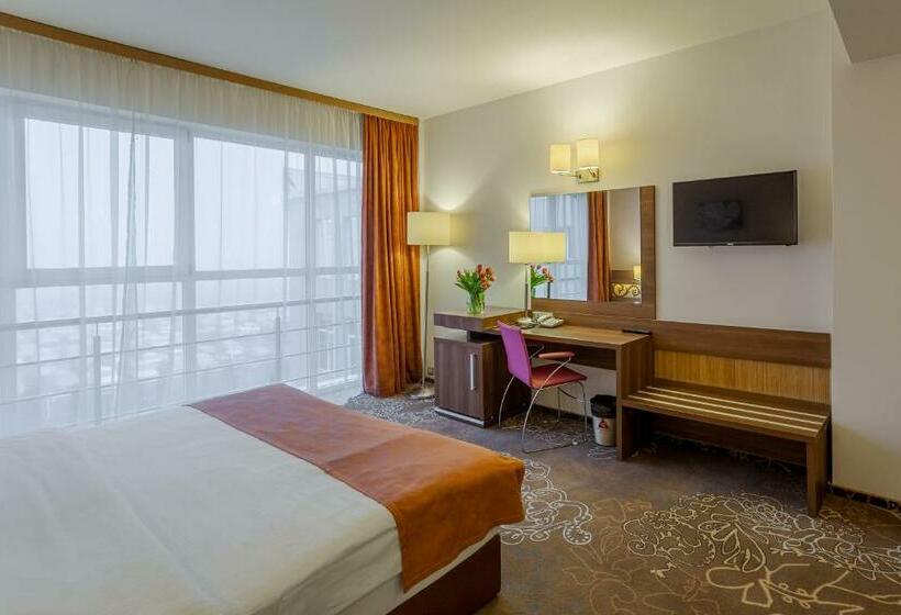 이그제큐티브 룸, Rin Airport