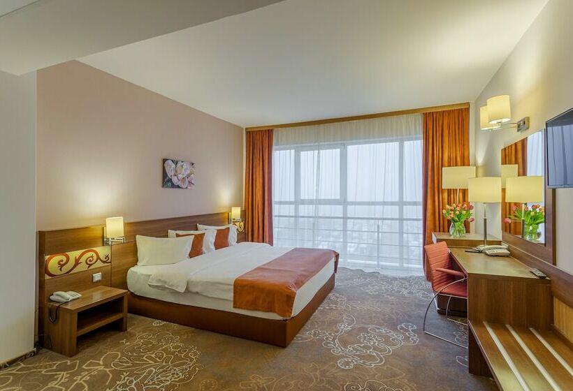 이그제큐티브 룸, Rin Airport