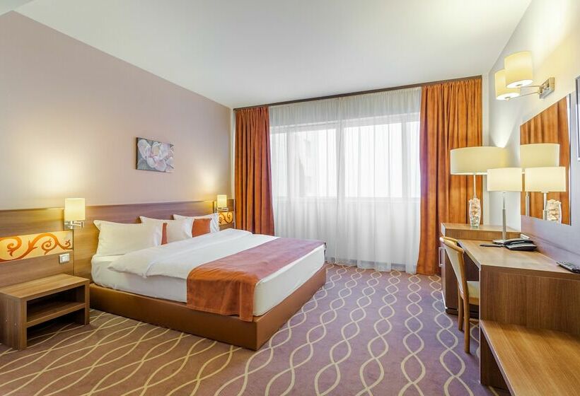 이그제큐티브 룸, Rin Airport