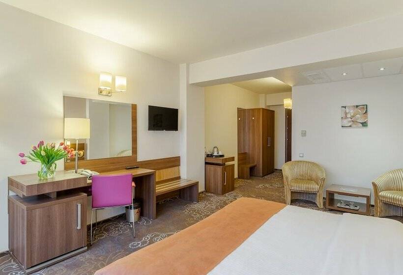 이그제큐티브 룸, Rin Airport