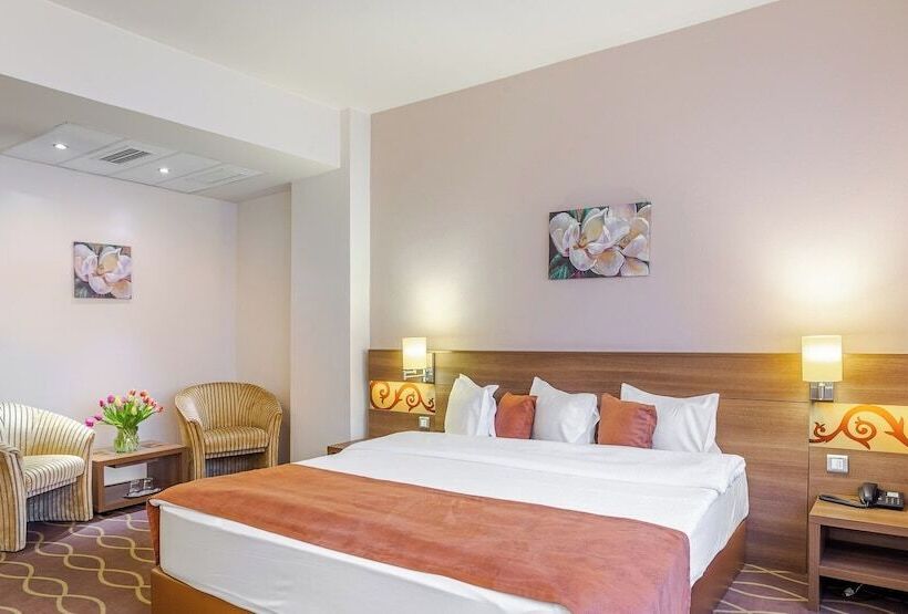 이그제큐티브 룸, Rin Airport