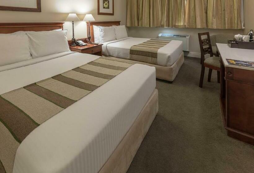 Номер Superior, Southern Sun Mbombela