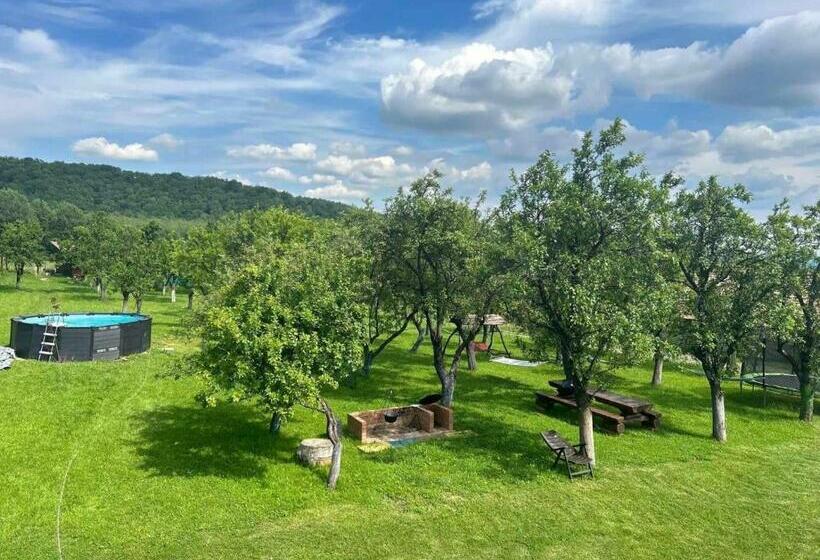 스탠다드 발코니 룸, Agropensiunea Darden