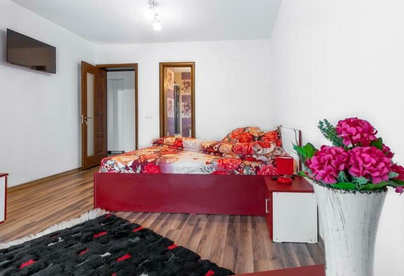 バルコニー付きスタンダードルーム, Agropensiunea Darden