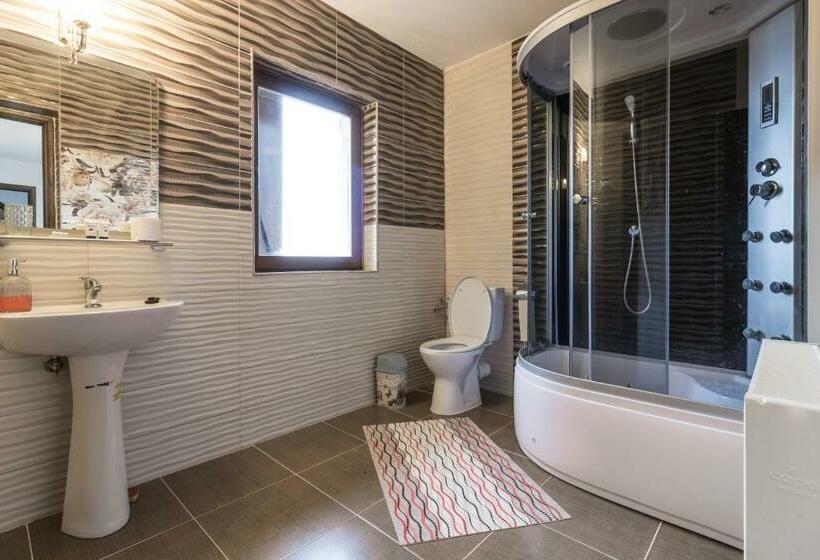 バルコニー付きスタンダードルーム, Agropensiunea Darden