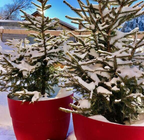 اتاق استاندارد با چشمانداز کوهستان, La Ferme Des étroits