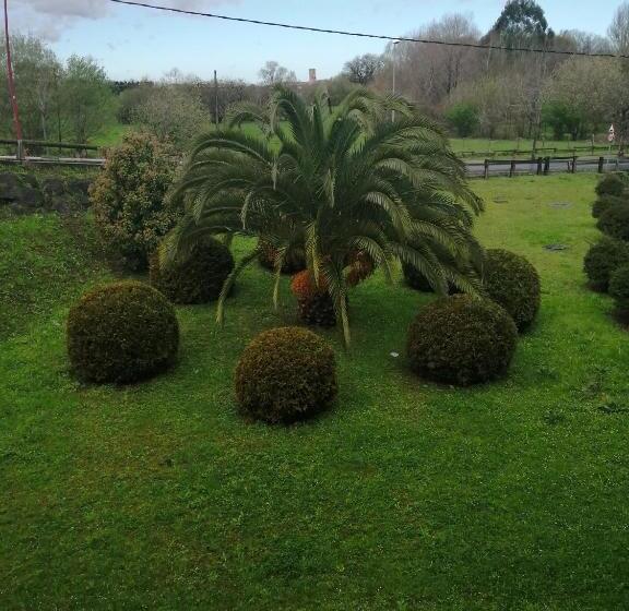 غرفة قياسية, Artea Errota