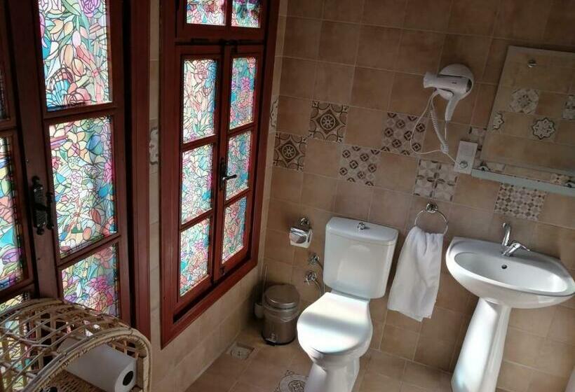 Deluxe Værelse, Meglen Konak