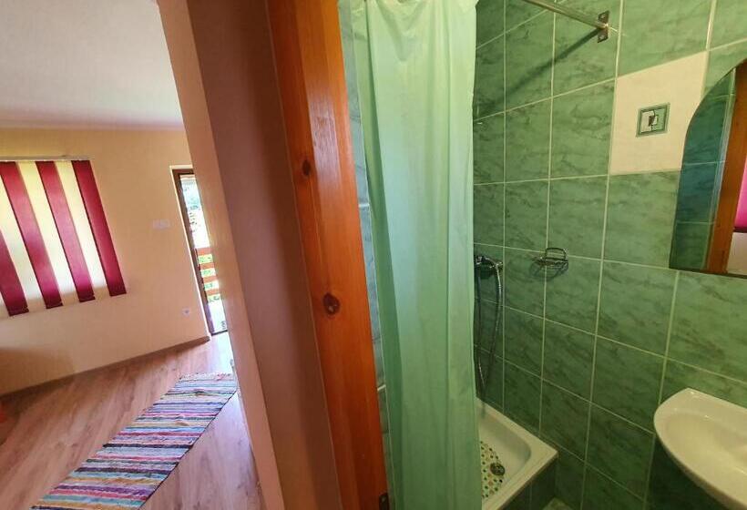 חדר דלוקס, Casa Monika Ciocarliei