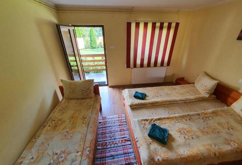 חדר דלוקס, Casa Monika Ciocarliei