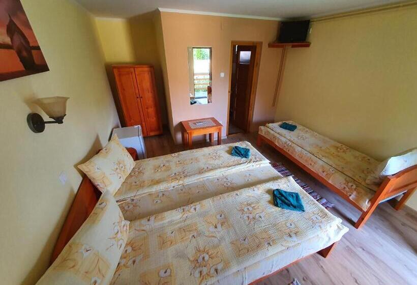 豪华房间, Casa Monika Ciocarliei