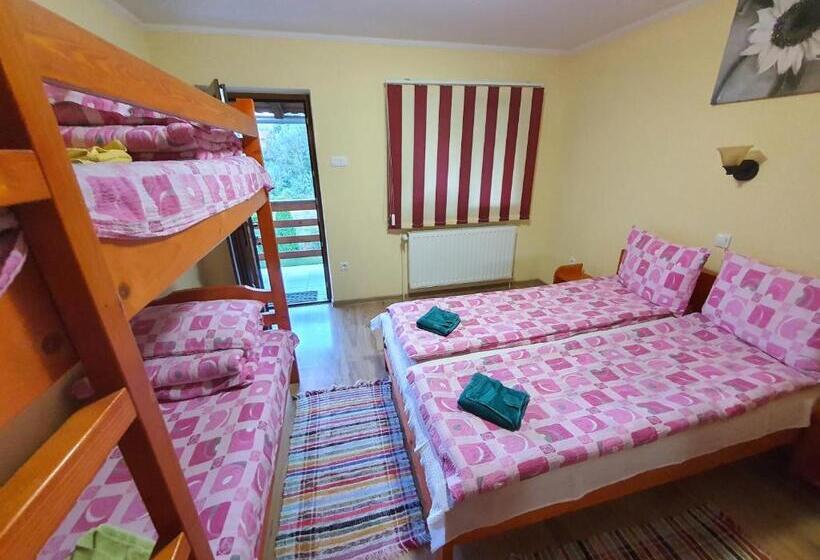 חדר משפחתי נוף לגינה, Casa Monika Ciocarliei