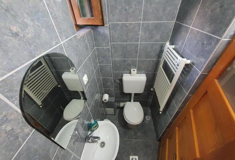 חדר משפחתי נוף לגינה, Casa Monika Ciocarliei