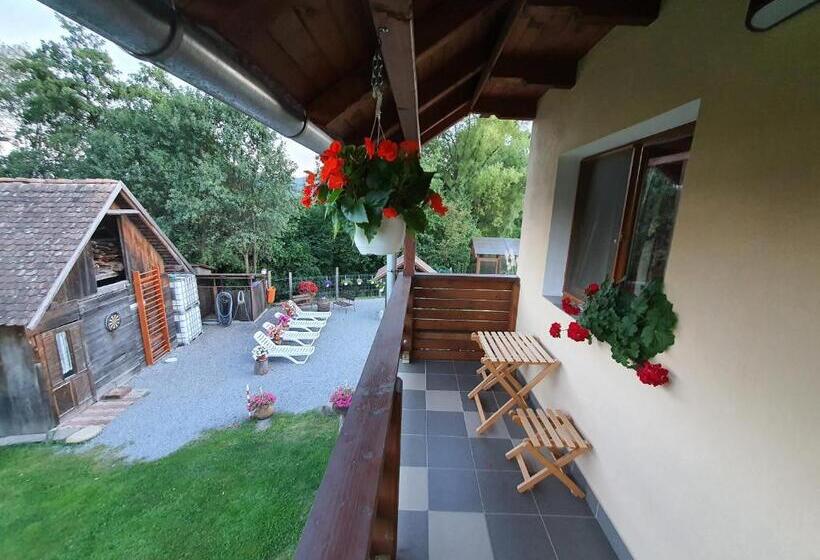 חדר משפחתי נוף לגינה, Casa Monika Ciocarliei