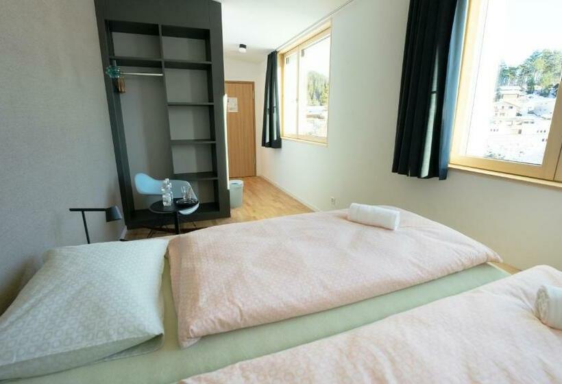 חדר סטנדרט יחיד, Wellnesshostel3000