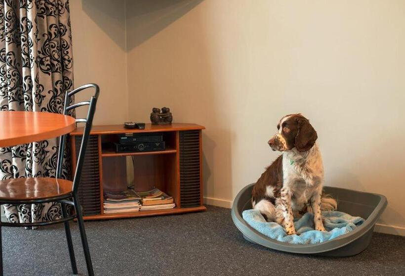 דירת חדר, Coronation Park Motels