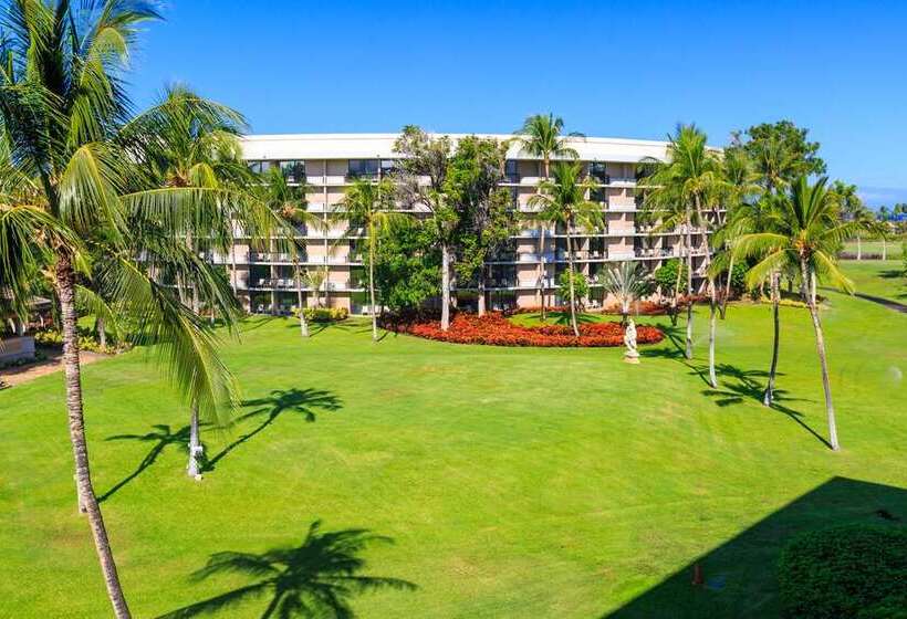Standard Szoba King Size Bed, Doubletree By Hilton Sharm El Sheikh Sharks Bay Resort